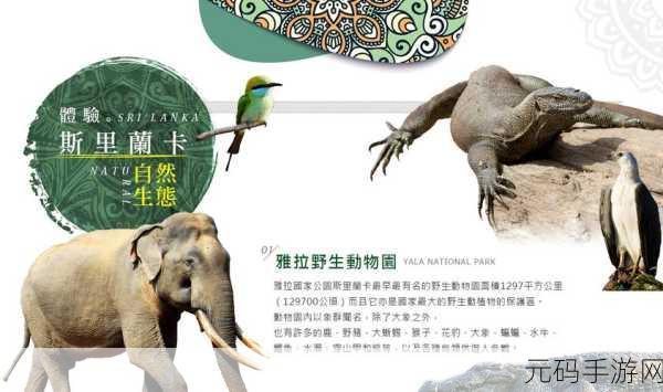 伊甸园大象传媒-1. 伊甸园大象传媒：探索创意与传播的无限可能