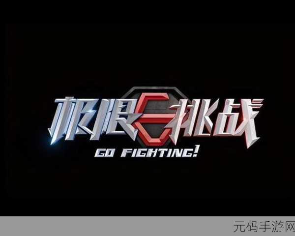 疯狂七十二小时截一段-疯狂七十二小时：在极限挑战中寻找自我救赎的旅程