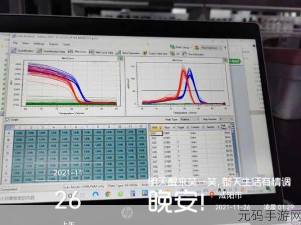 揭秘四叶草试验室2021规避出口-好的，以下是一些建议的