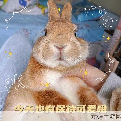 男朋友喜欢吃我的小兔兔的心理-1.“小兔兔的美味诱惑:爱与食欲交织”