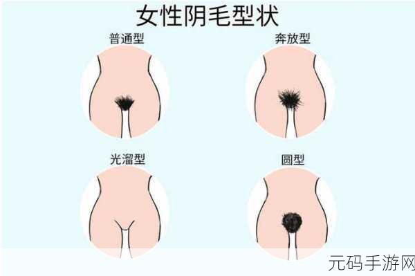 女性自己动手的好处-1. 女性自我动手:提升独立性与自信心的秘诀