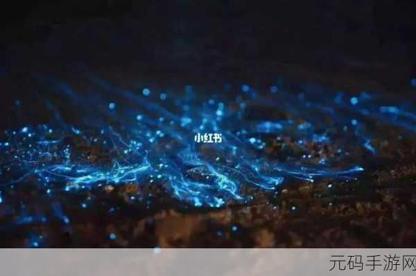 探索神秘海洋之夜，蓝眼泪奇观与神奇海洋今日揭秘