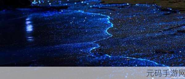 探索神秘海洋之夜，蓝眼泪奇观与神奇海洋今日揭秘