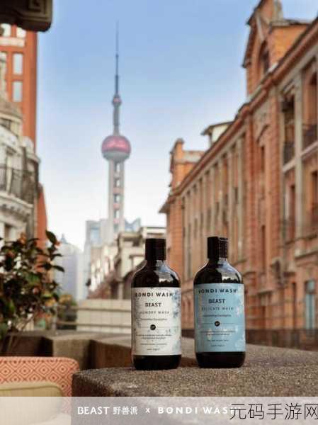 日韩精品系列产品-1. 日本与韩国精品融合,探索独特风尚之旅