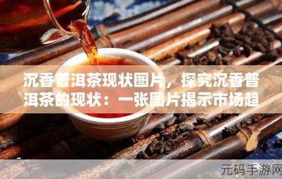 沉香一线产区-沉香一线产区的独特魅力与市场潜力分析