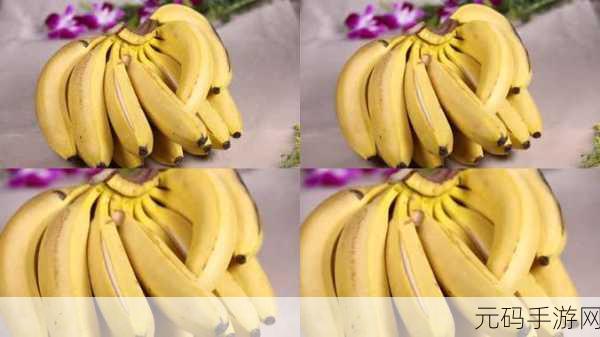 香蕉爱视频-1. 香蕉爱视频：探索热带水果的魅力与美味