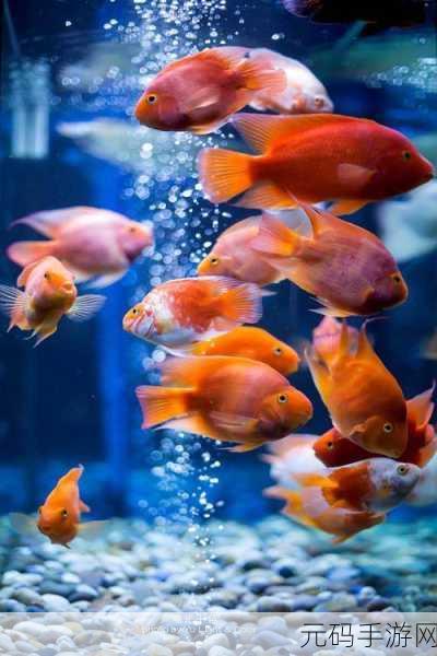 探秘深海奇缘，手游新玩法揭秘，鱼在水中奥秘知多少？
