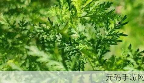 蚂蚁庄园探索之旅,揭秘青蒿素之源,赢取游戏新福利