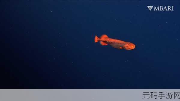 魔兽世界WLK幽灵鱼大揭秘，任务攻略助你征服深海谜团