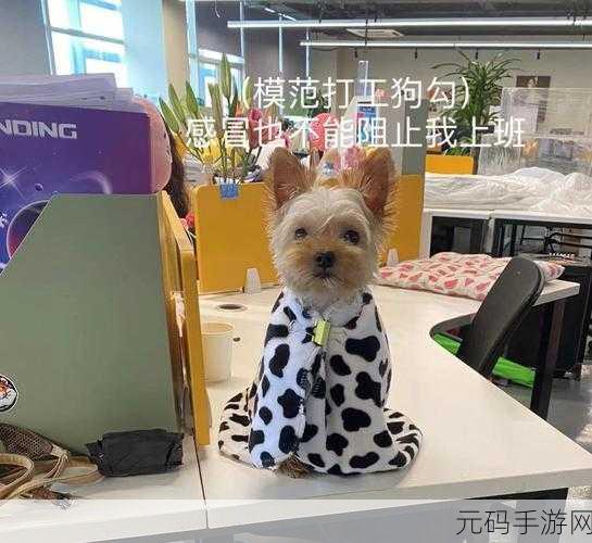 办公室可不可以干湿你小狗狗-1. 办公室环境对小狗健康的影响分析