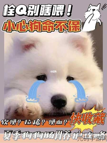办公室可不可以干湿你小狗狗-1. 办公室环境对小狗健康的影响分析