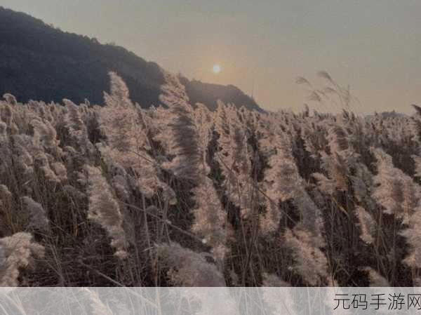 芦苇地里母亲说经典场景-1. 母亲的叮咛与芦苇轻声私语