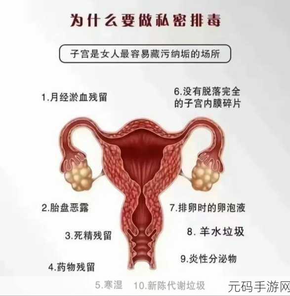 年轻漂亮少妇私密精油按摩保养方法-1. 年轻少妇私密精油按摩全攻略与保养技巧