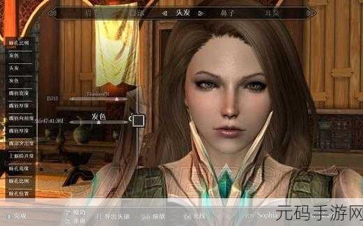 上古卷轴5,天际捏脸艺术大揭秘,打造绝美女主全攻略