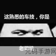 老BWBWBWBWBW对欢迎您老司机最爱-1. 《老司机们的欢聚时刻:尽情畅聊与分享