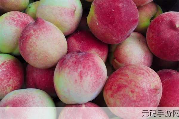国产水蜜桃-1. 水蜜桃的甜蜜魅力：从种植到品尝