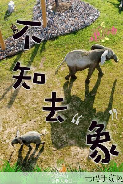 满18点此安全转入2024大象-1. 迈向2024：安全转入大象拓展新征程