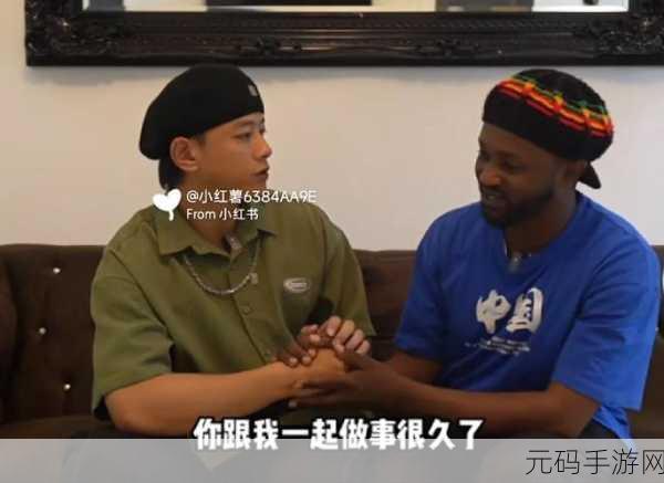 林家日常2v2-1. 《林家日常:双人对战的新挑战
