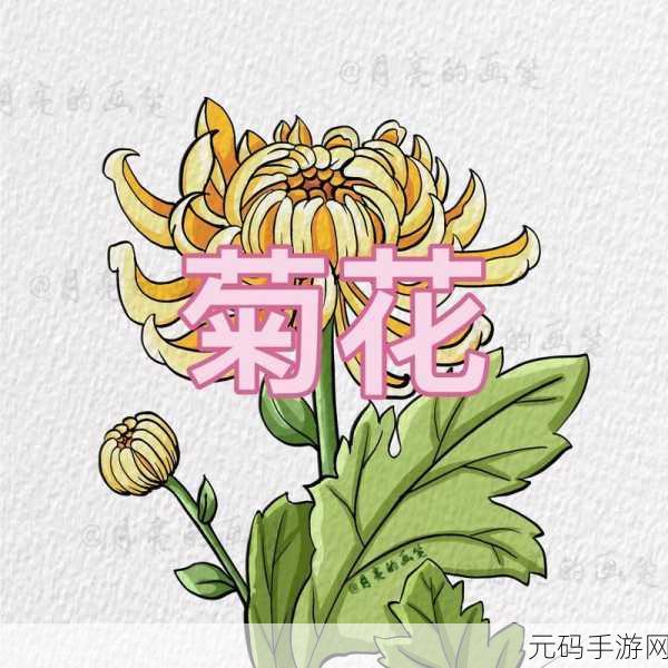 答错一题菊花放一支笔丁程鑫，1. 答错一题，菊花与笔的奇妙故事