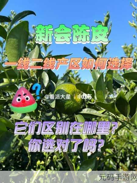 一线产区和二线产区的知名品牌是将试运营不打烊直呼,1. 一线二线产区品牌齐聚,试运营赋能市场新机遇