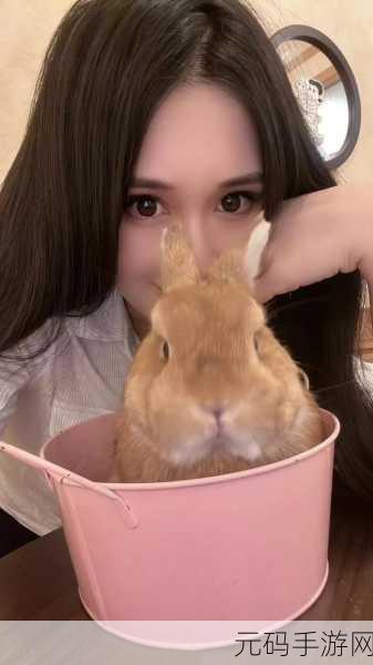 咬小兔兔是站着还是躺着,1. 小兔兔的姿势大揭秘:站着还是躺着?