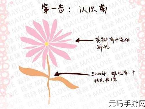 走后门的正确方法图片免除会员特权,1. 破解会员特权的秘密:走后门技巧揭秘