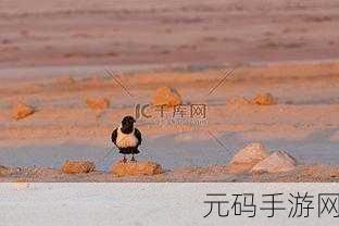 星空乌鸦天美大象果冻,1. 星空下的乌鸦与天美奇遇:大象果冻的梦境