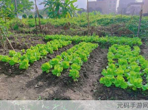 开垦母亲肥沃的土地叫什么,1. 开垦母亲肥沃土地,孕育未来希望