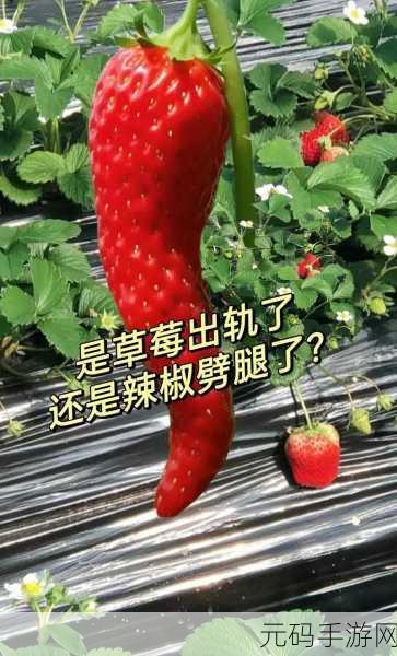 草莓洞洞榨汁法，1. 草莓洞洞榨汁法：健康美味的果饮新体验