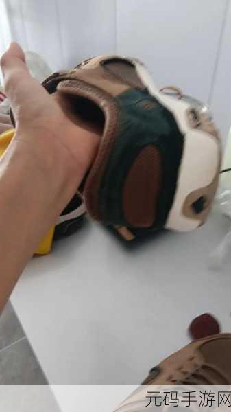 AAAA级毛皮最火的一句透露了中文社区开放信息，“揭秘AAAA级毛皮热潮背后的秘密与趋势”