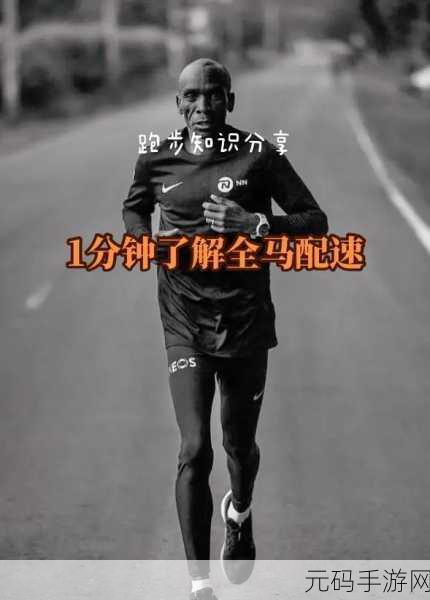 人马配速45分钟国产更给力，1. 人马配速45分钟，国产新车实力全开！