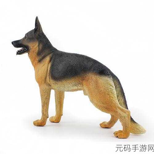 狗狗的东西又硬又烫，1. 狗狗的玩具：硬质与温度的完美结合