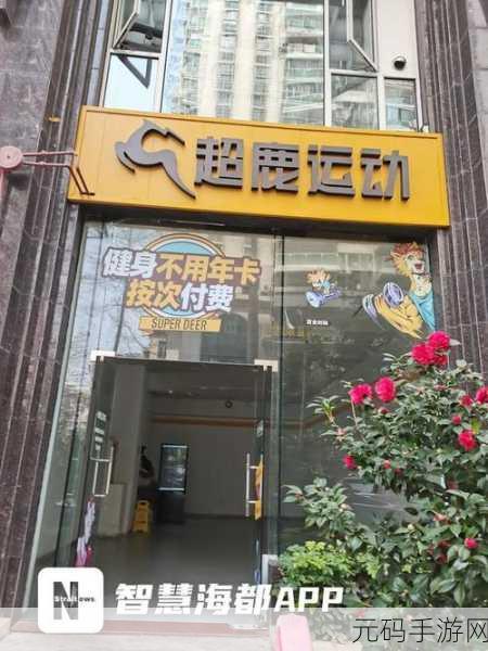 健身房里的招牌po,1. 追求健康,塑造完美身材,从今天开始!