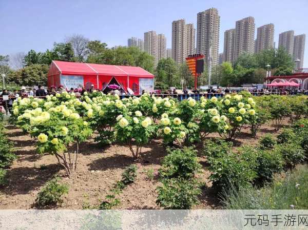 国色天香精品一卡二卡三卡,1. 国色天香:极致体验的一卡二卡三卡之旅