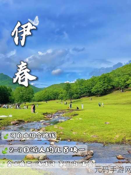 伊春园2022直达进入,当然可以!以下是一些基于“伊春园2022直达进入”的新标题建议: