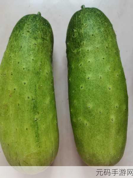 下面痒了用黄瓜还是茄子好,1. 痒了怎么办?用黄瓜还是茄子的最佳选择分析