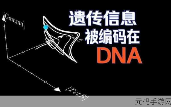 母亲的DNA和儿子的DNA是一样的吗,1. 母亲与儿子DNA相似性探究:遗传的奥秘