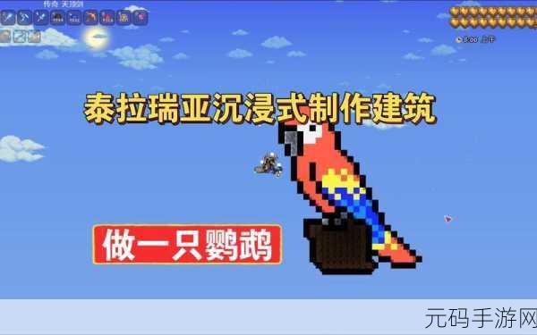 泰拉瑞亚探险新宠,鹦鹉饼干获取全攻略