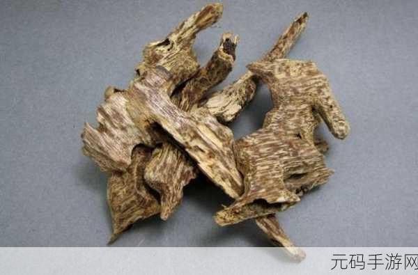 沉香的一线产区，1. 沉香的一线产区：探寻自然与文化的交融之地