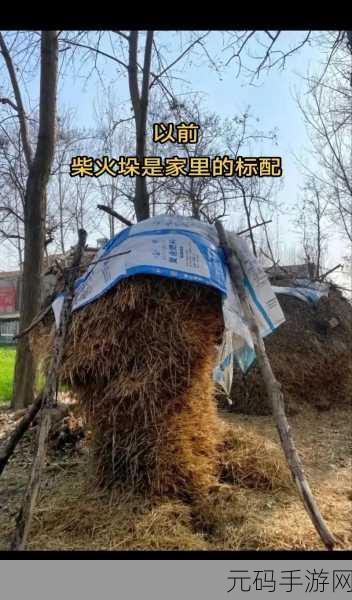 柴火垛里的疯狂55集,1. 柴火垛里的秘密:探寻疯狂55集背后的故事