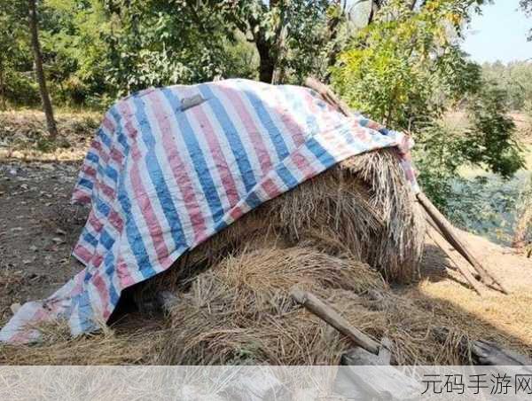 柴火垛里的疯狂55集,1. 柴火垛里的秘密:探寻疯狂55集背后的故事