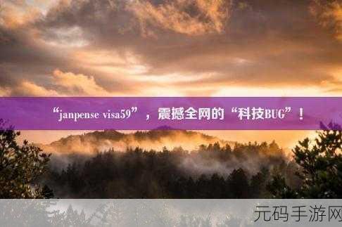 janpense visa清高,1. 探索Janpense Visa的无缝支付体验