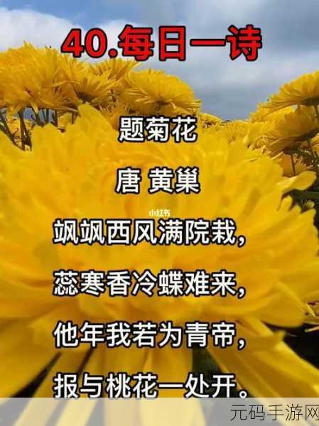 答错一题菊花放一支笔温客行，错题惩罚：菊花与笔的温客行启示