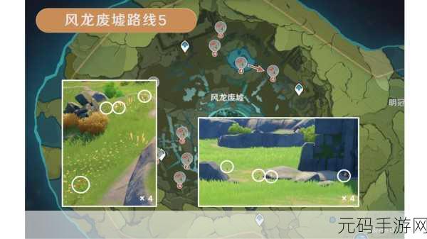 原神探索之旅,风车菊的奇妙分布与采集攻略