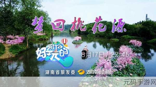 桃源深处有人家首月绮梦之旅，玩家心声深度剖析，共绘田园牧歌新篇章