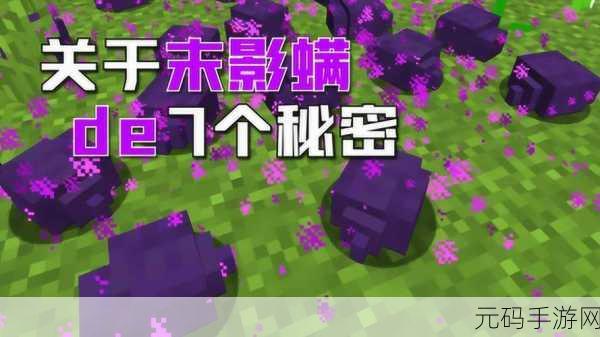 我的世界手机版末影螨，神秘生物的多重角色与属性揭秘