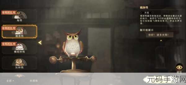 哈利波特魔法觉醒，猫头鹰的多重角色与奇妙作用