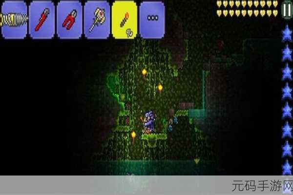 泰拉瑞亚探险指南,夜光孢子获取攻略与实践技巧大揭秘
