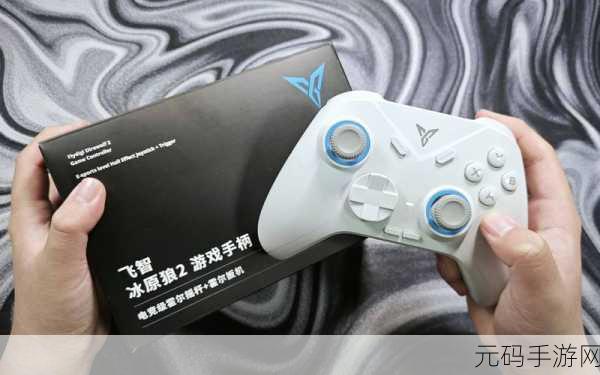 冰原守卫者猎魔城堡深度探索,征服极寒之地,解锁制胜秘籍