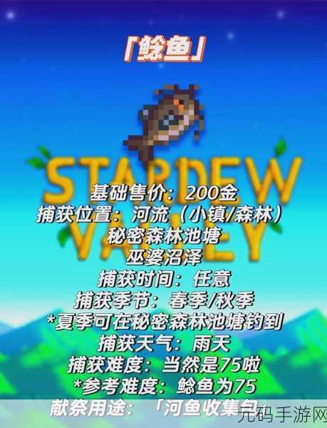 星露谷物语，探寻鲶鱼最佳垂钓点全攻略
